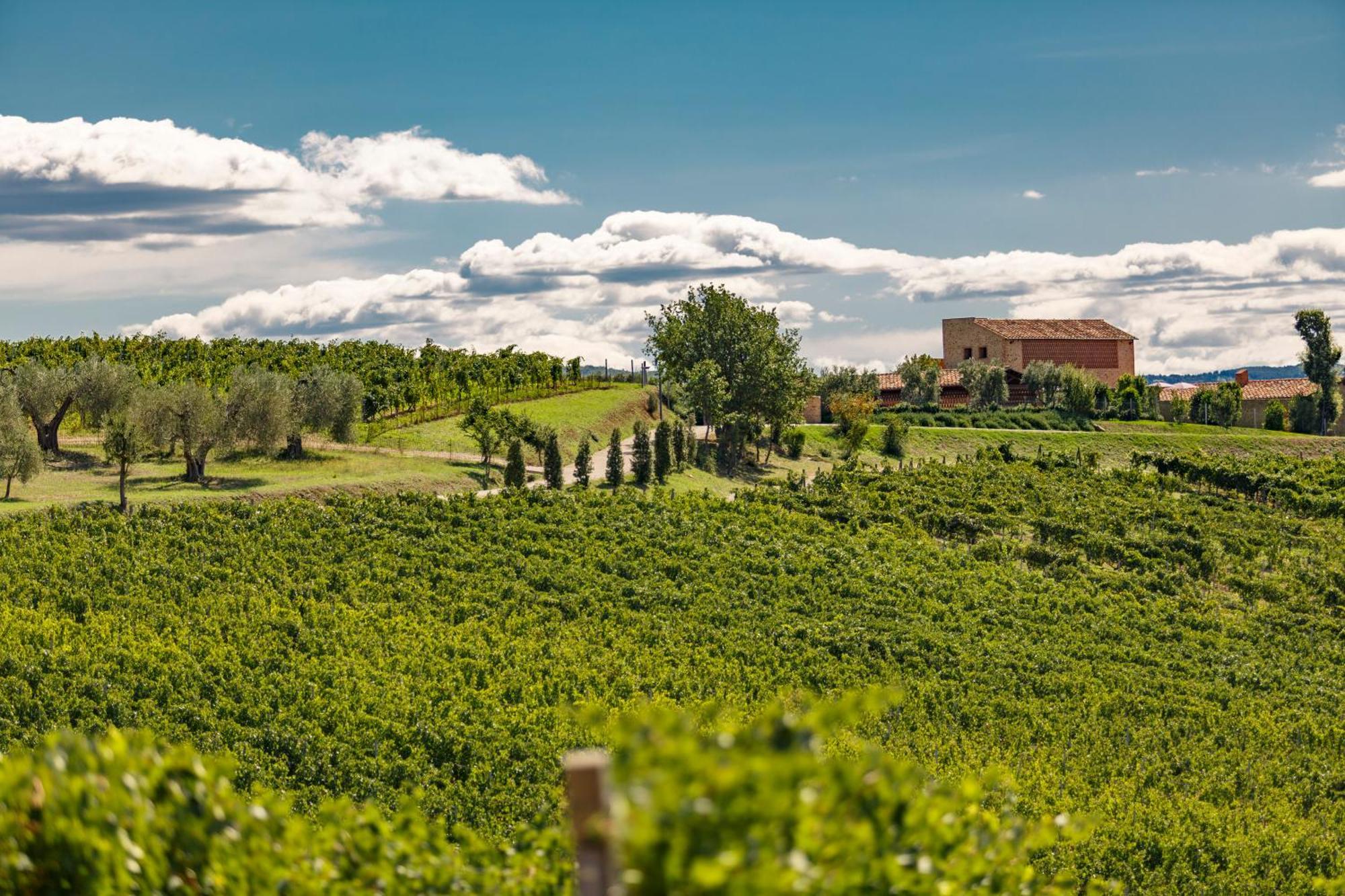 Tenuta Di Montecucco - Collemassari Hospitality Cinigiano Εξωτερικό φωτογραφία